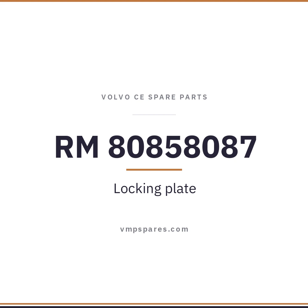 RM 80858087 – Locking plate