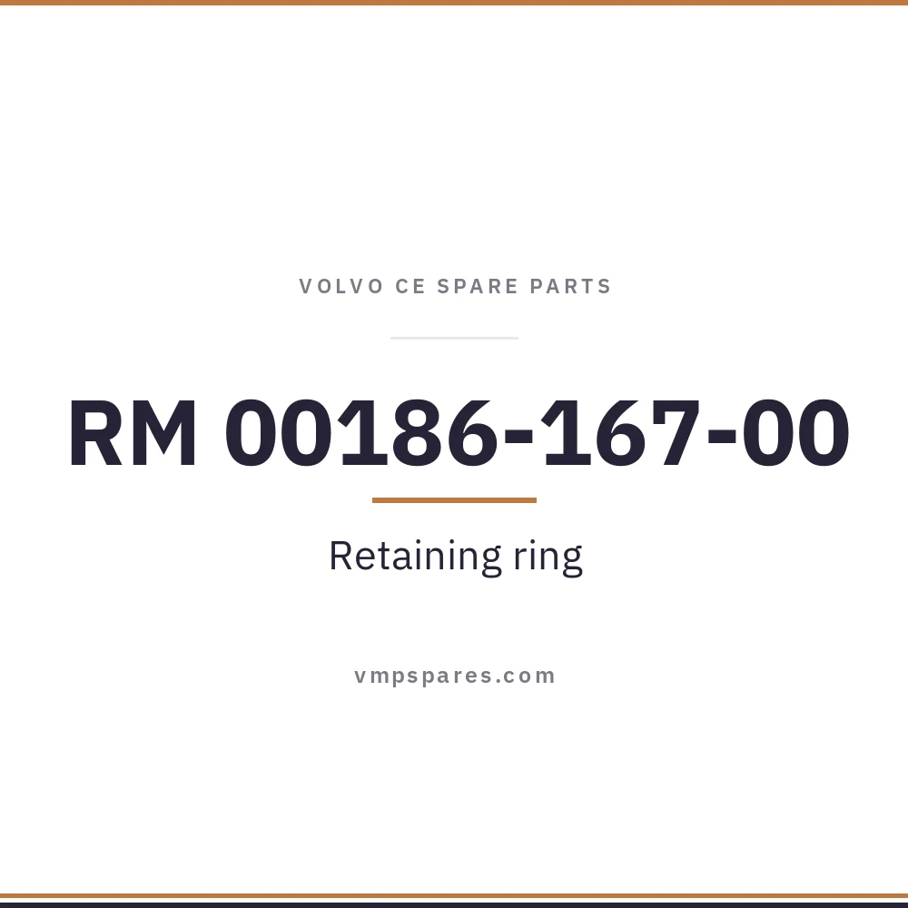 RM 00186-167-00 – Retaining ring