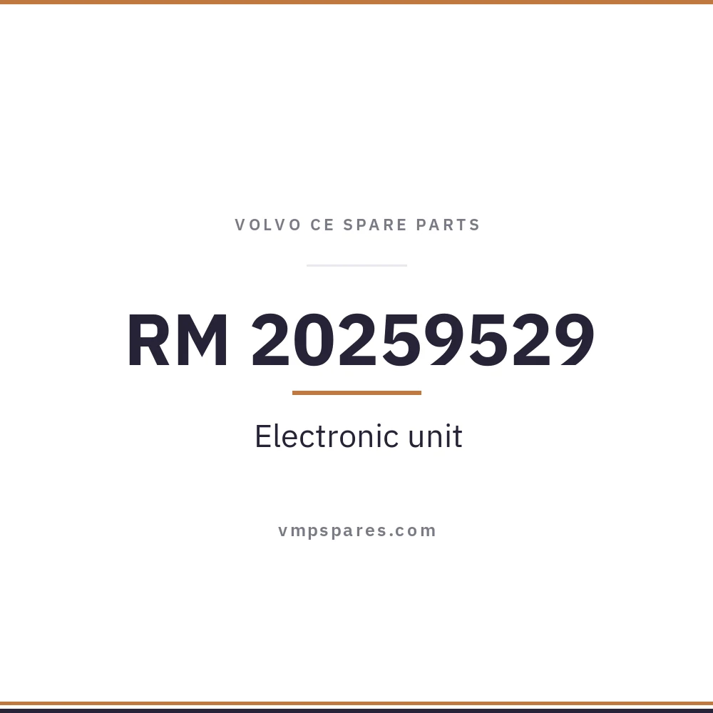 RM 20259529 – Electronic unit