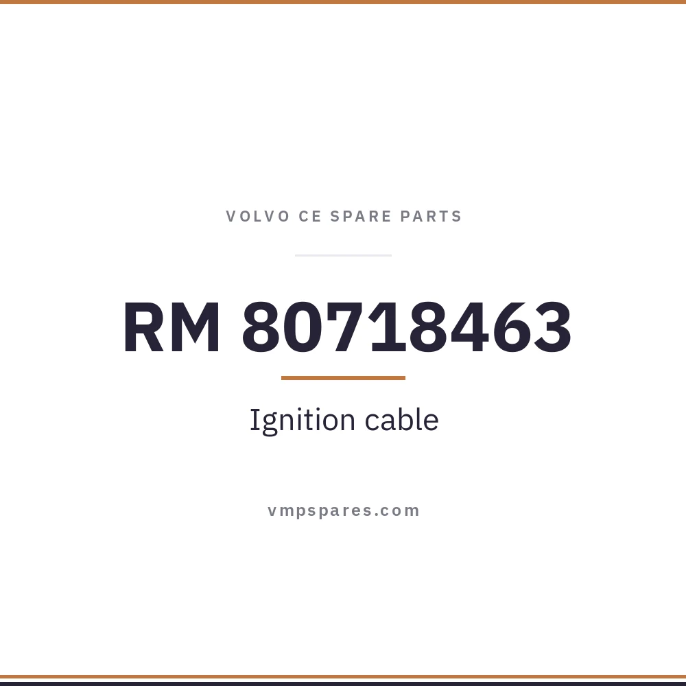 RM 80718463 – Ignition cable