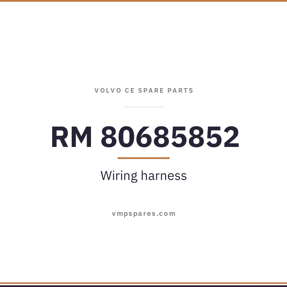 RM 80685852 – Wiring harness