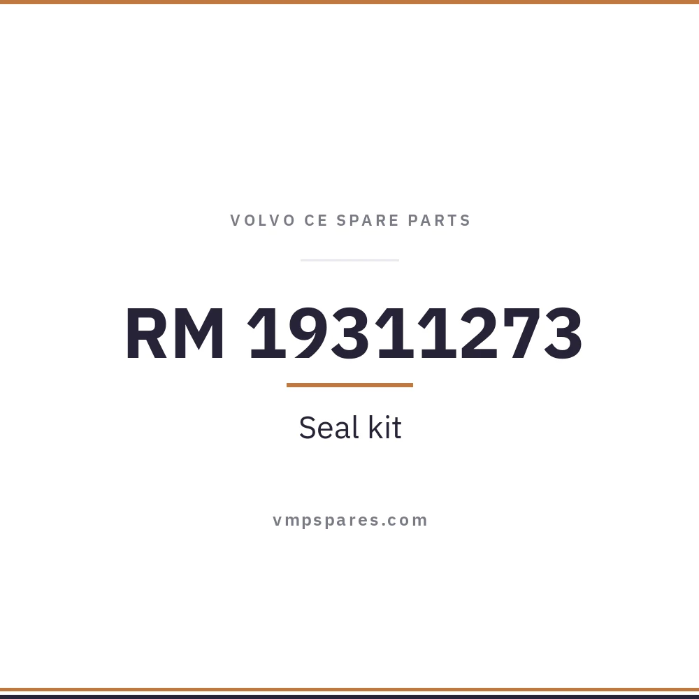 RM 19311273 – Seal kit