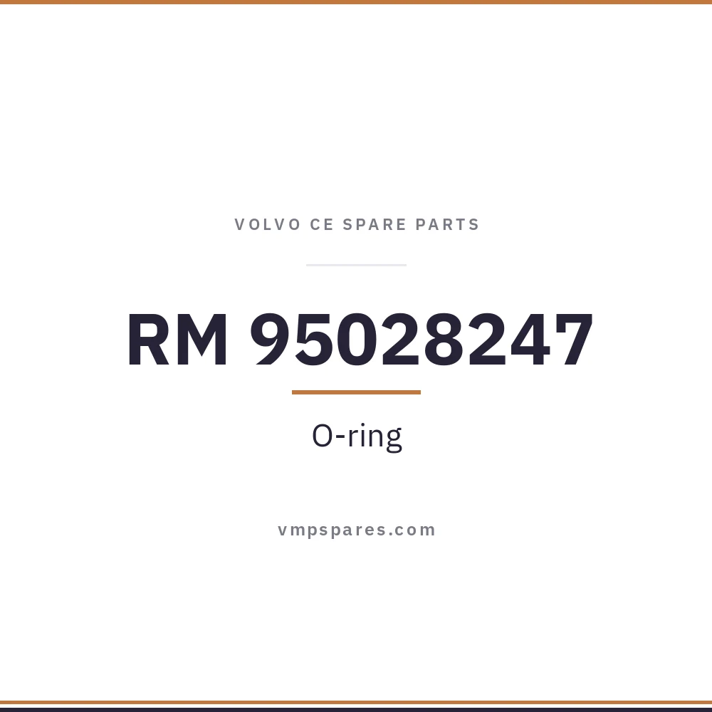 RM 95028247 – O-ring