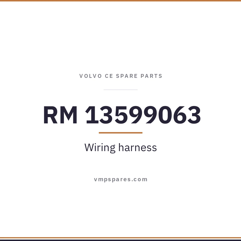 RM 13599063 – Wiring harness