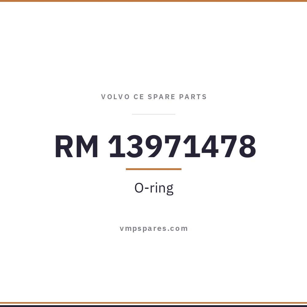 RM 13971478 – O-ring