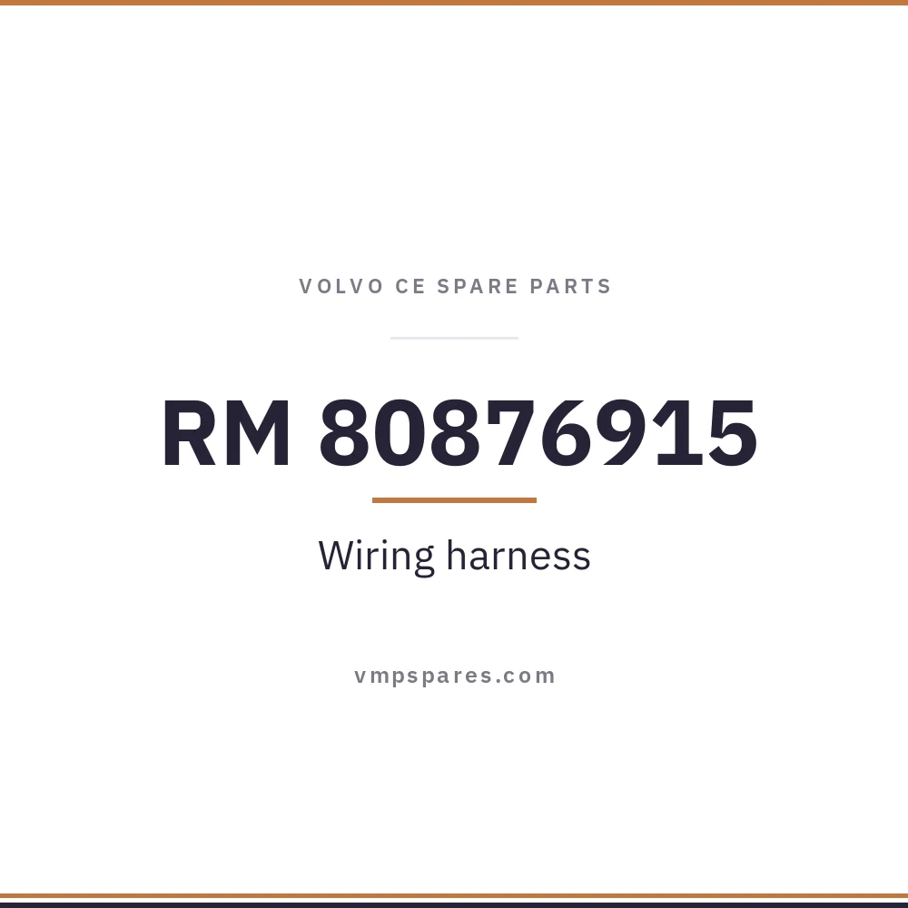 RM 80876915 – Wiring harness