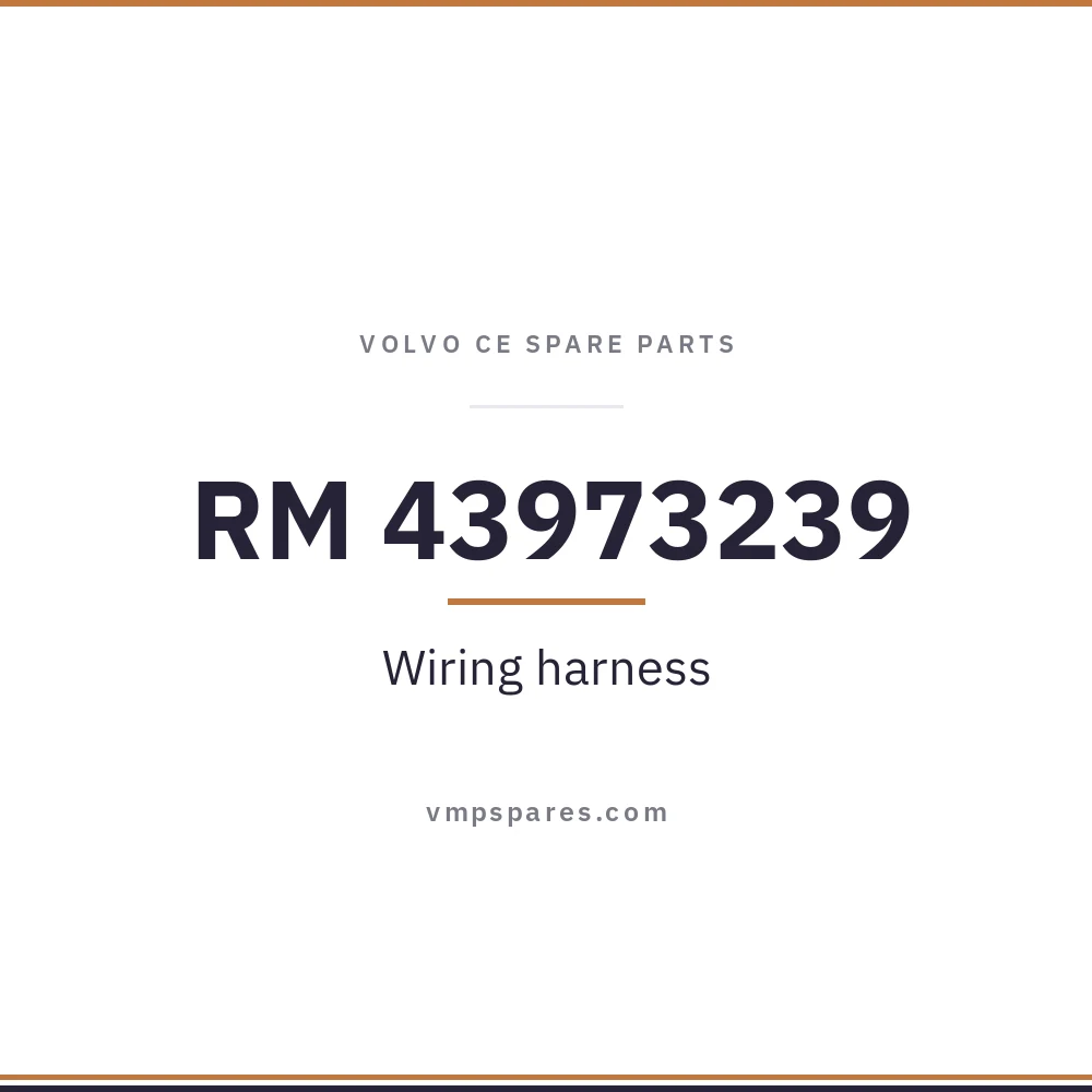 RM 43973239 – Wiring harness