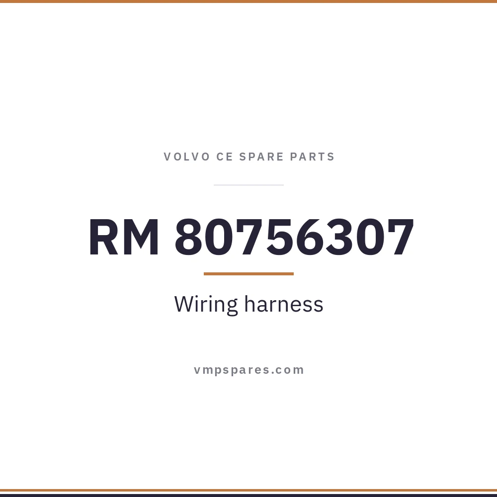 RM 80756307 – Wiring harness