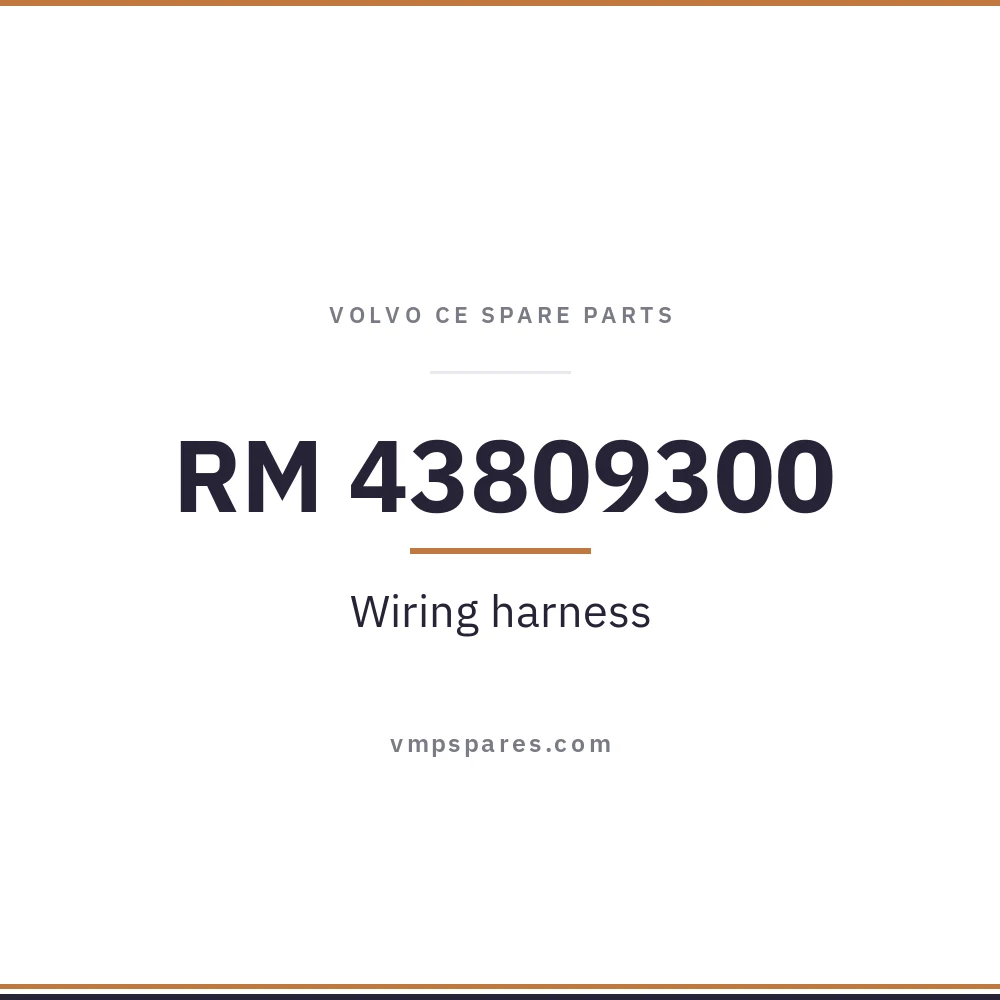 RM 43809300 – Wiring harness