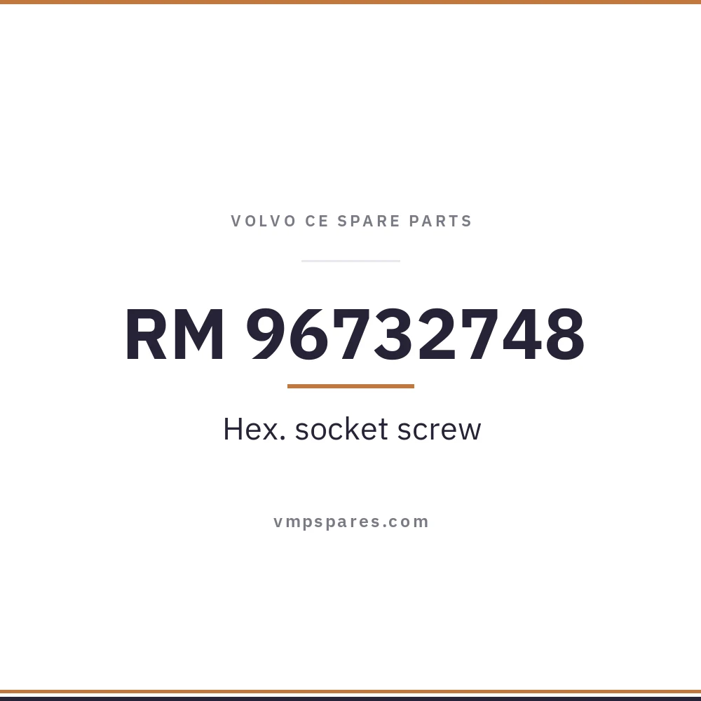 RM 96732748 – Hex. socket screw