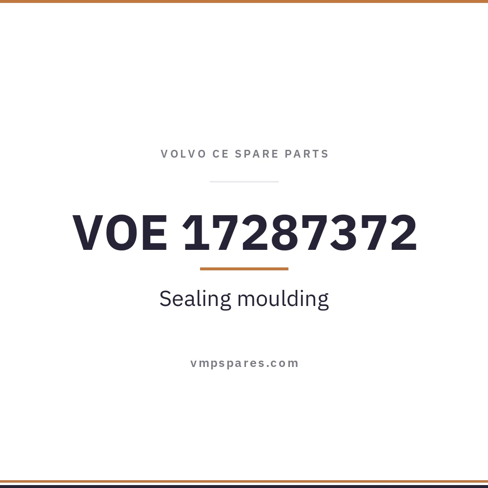 VOE 17287372 – Sealing moulding