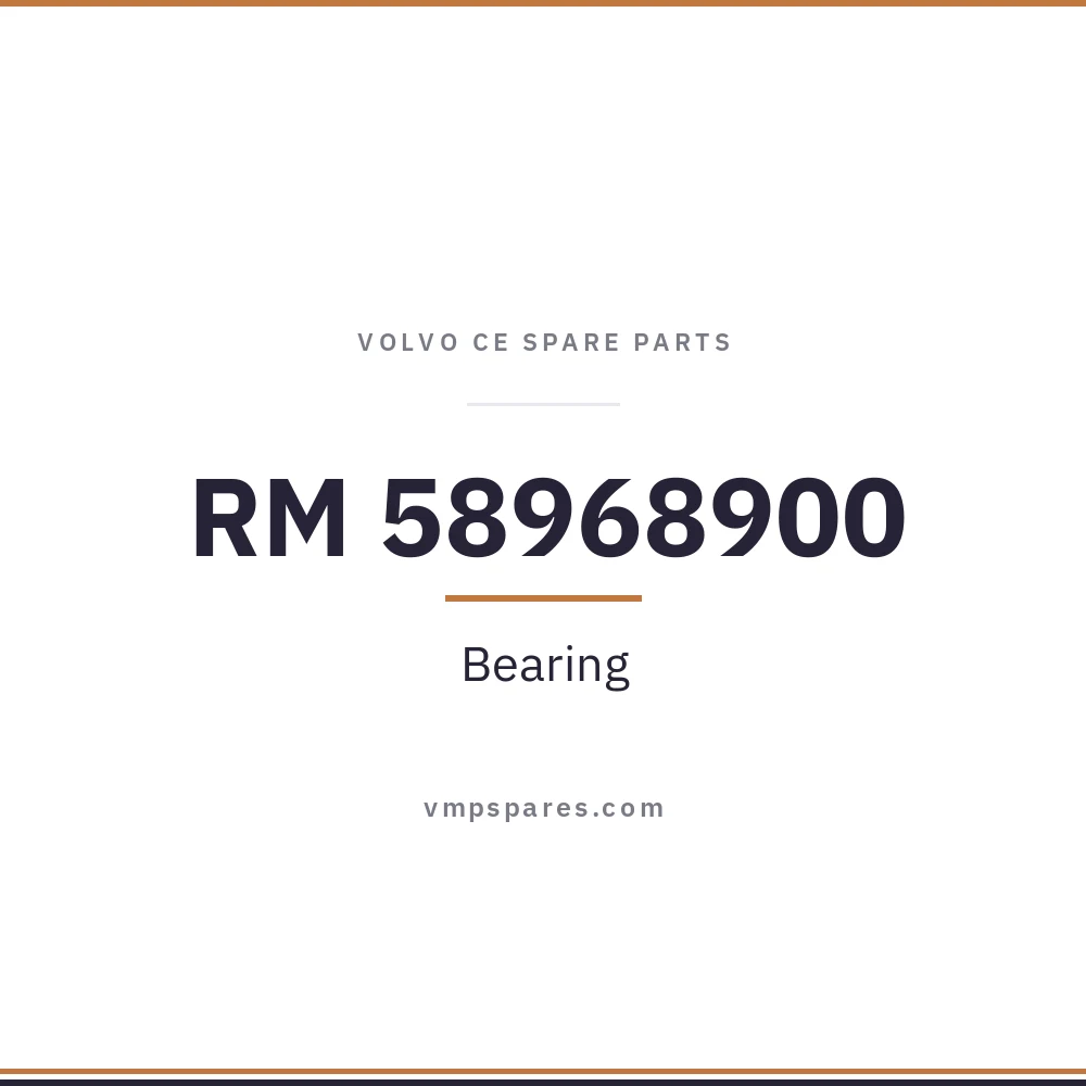 RM 58968900 – Bearing