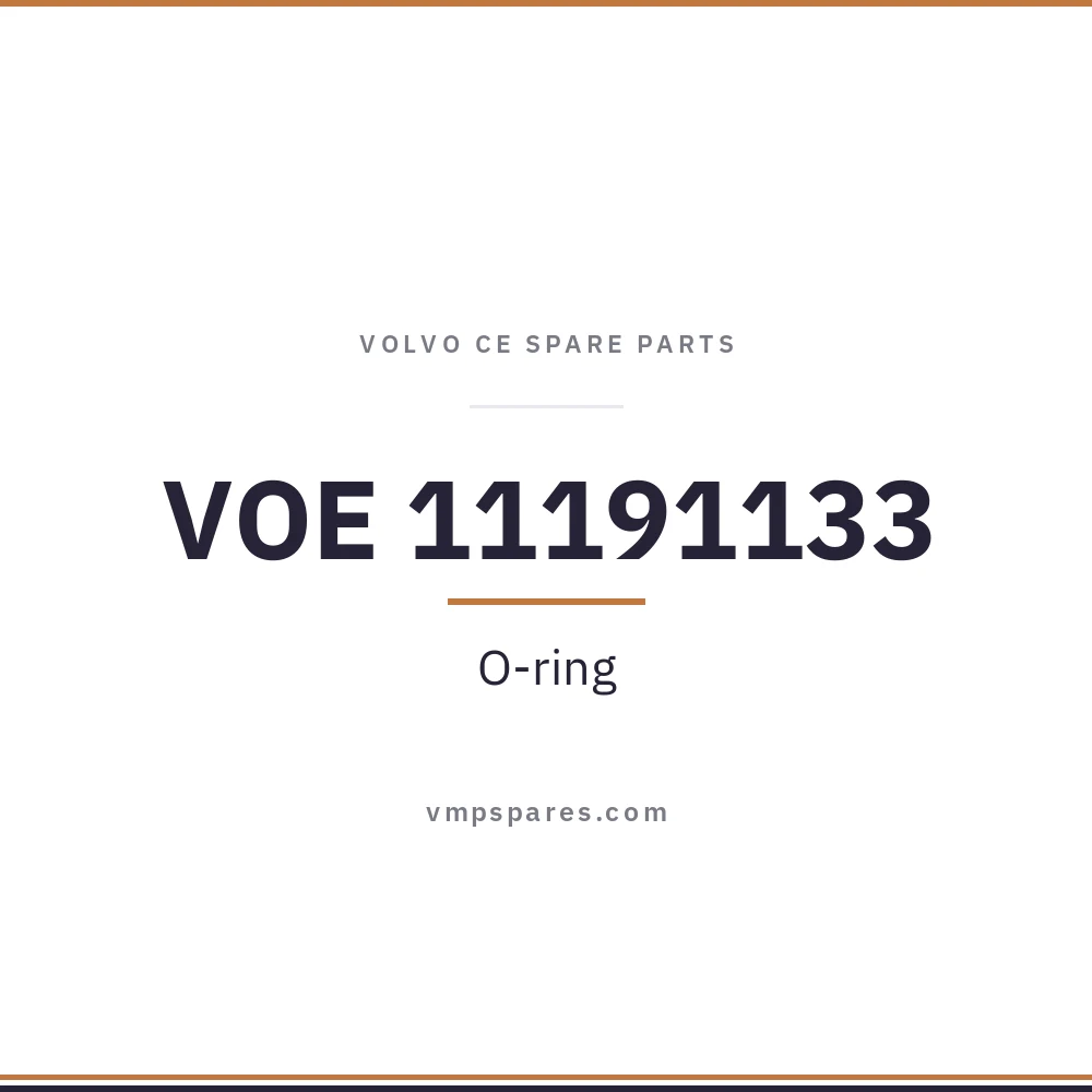 VOE 11191133 – O-ring