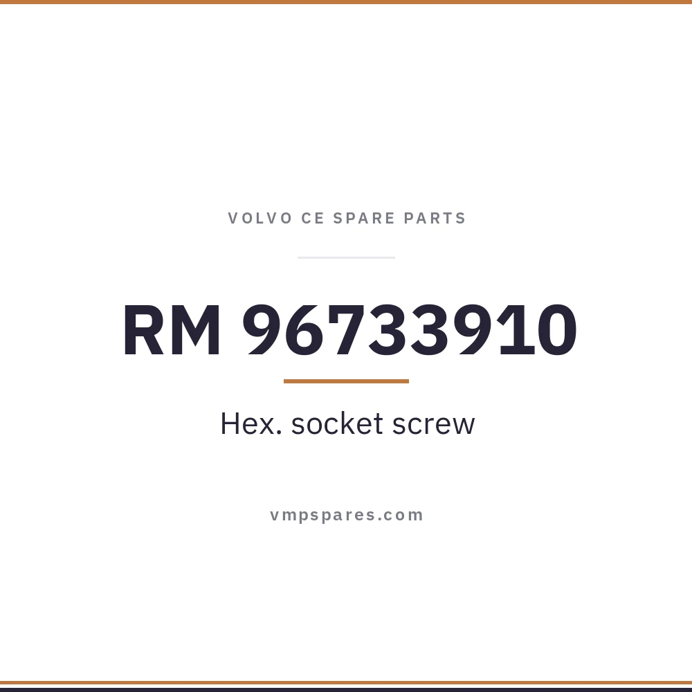 RM 96733910 – Hex. socket screw
