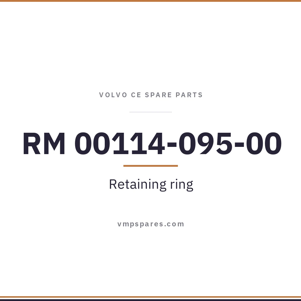 RM 00114-095-00 – Retaining ring