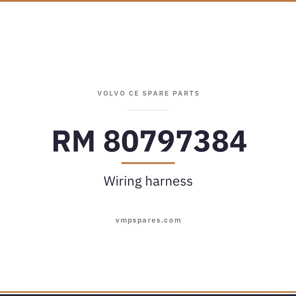 RM 80797384 – Wiring harness