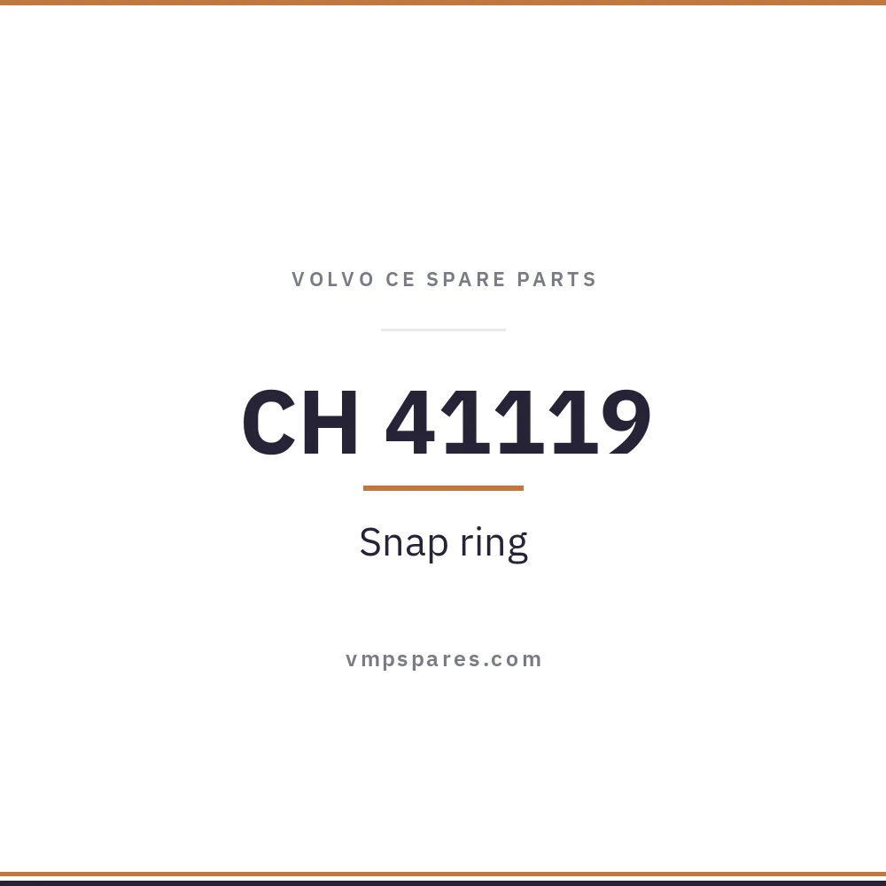 CH 41119 – Snap ring