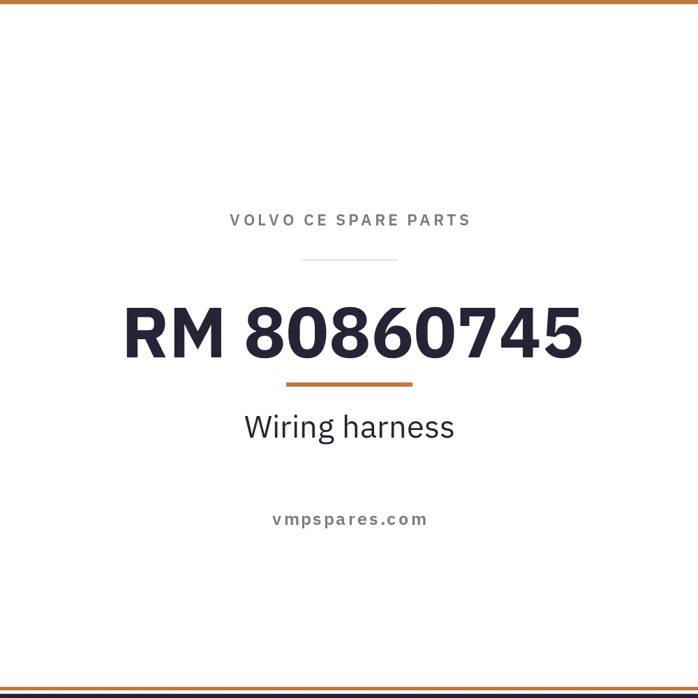 RM 80860745 – Wiring harness