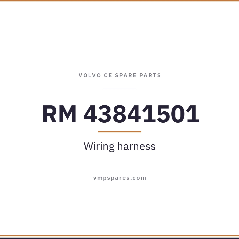 RM 43841501 – Wiring harness