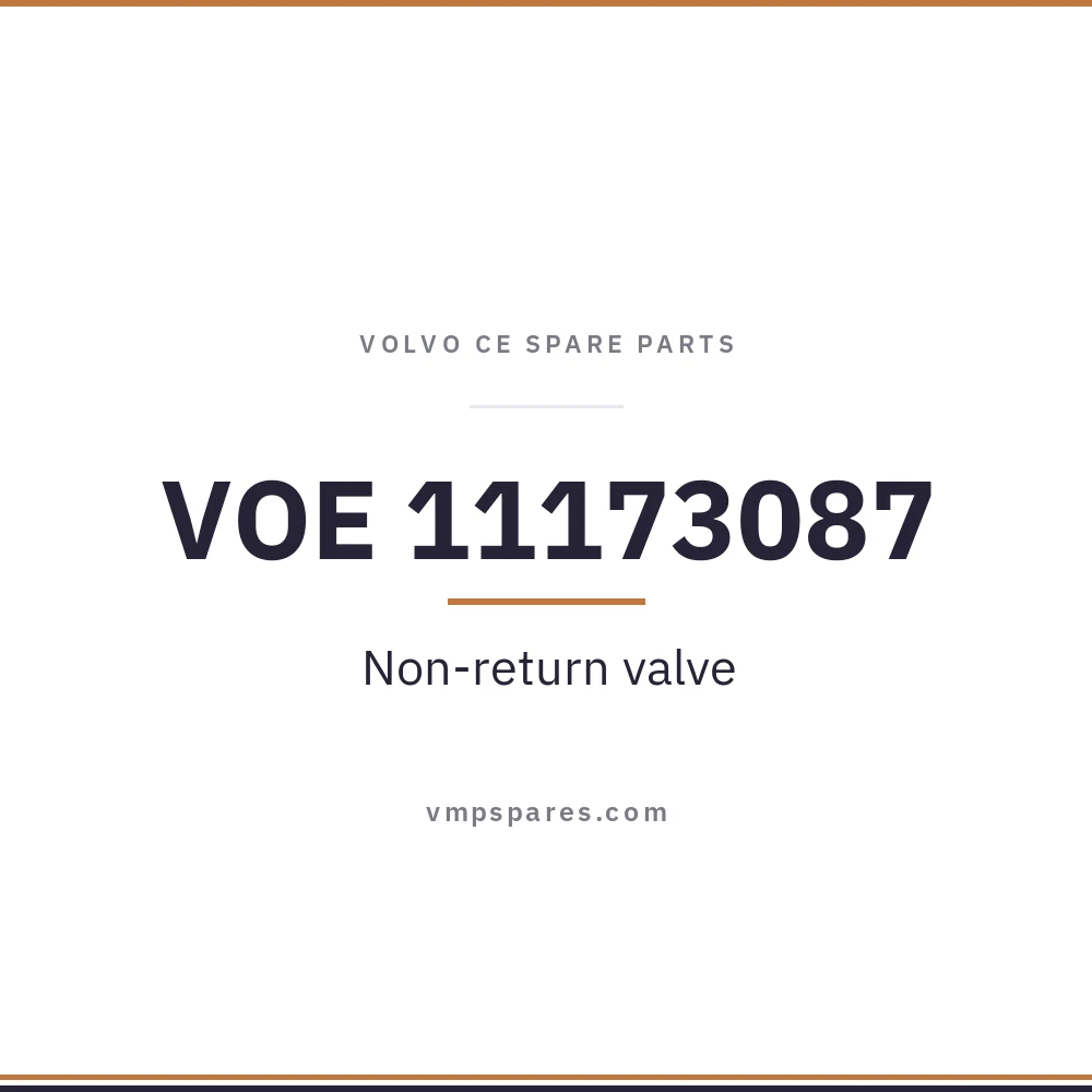 VOE 11173087 – Non-return valve