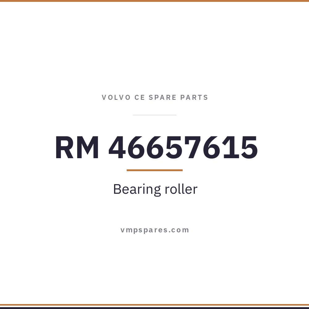 RM 46657615 – Bearing roller