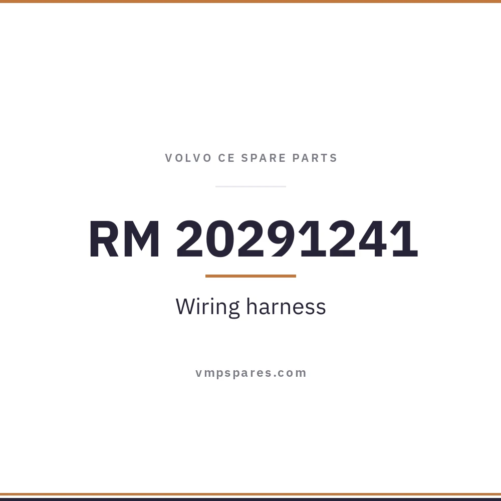RM 20291241 – Wiring harness
