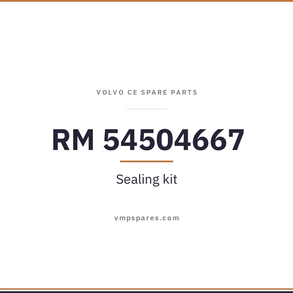 RM 54504667 – Sealing kit