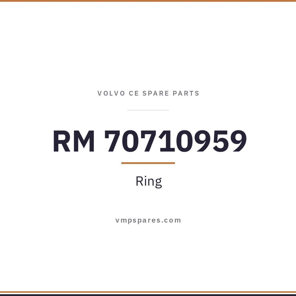 RM 70710959 – Ring