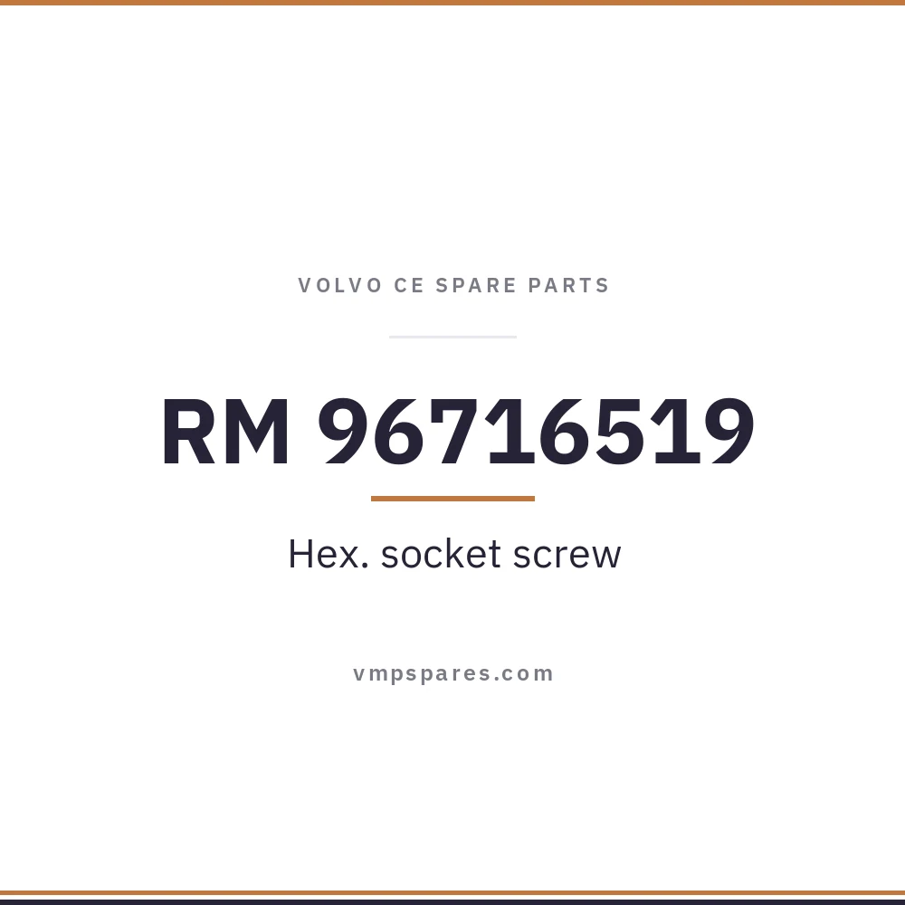 RM 96716519 – Hex. socket screw