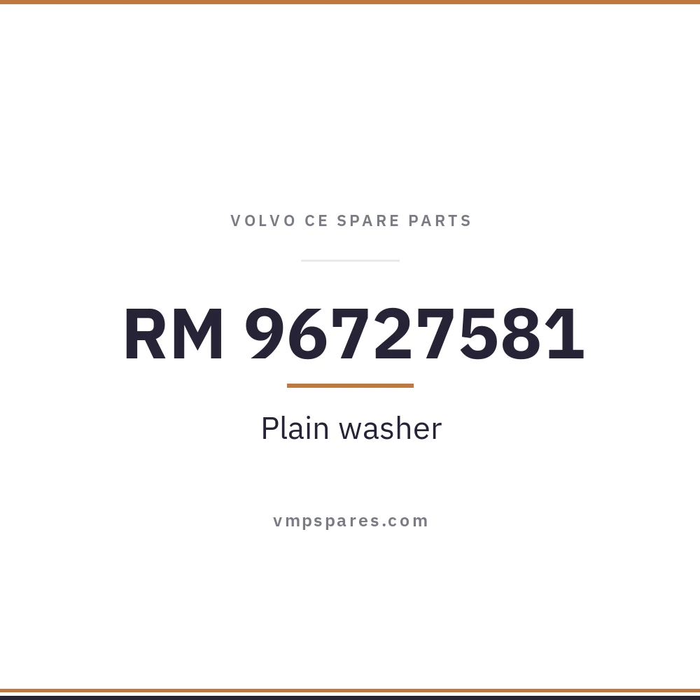 RM 96727581 – Plain washer
