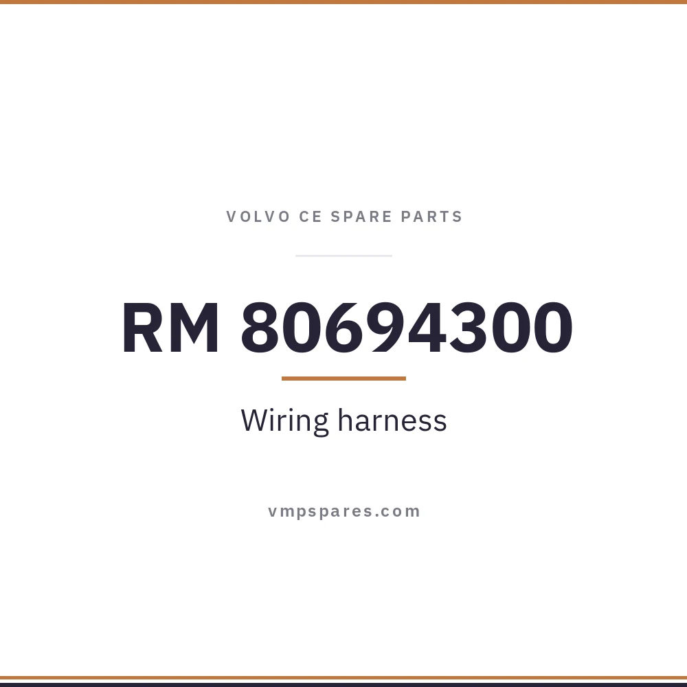 RM 80694300 – Wiring harness