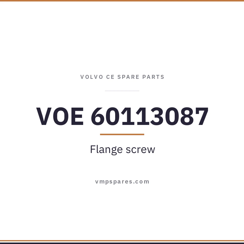 VOE 60113087 – Flange screw