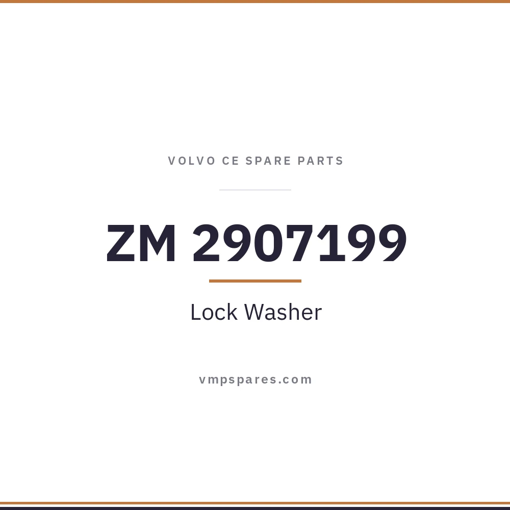 ZM 2907199 – Lock Washer