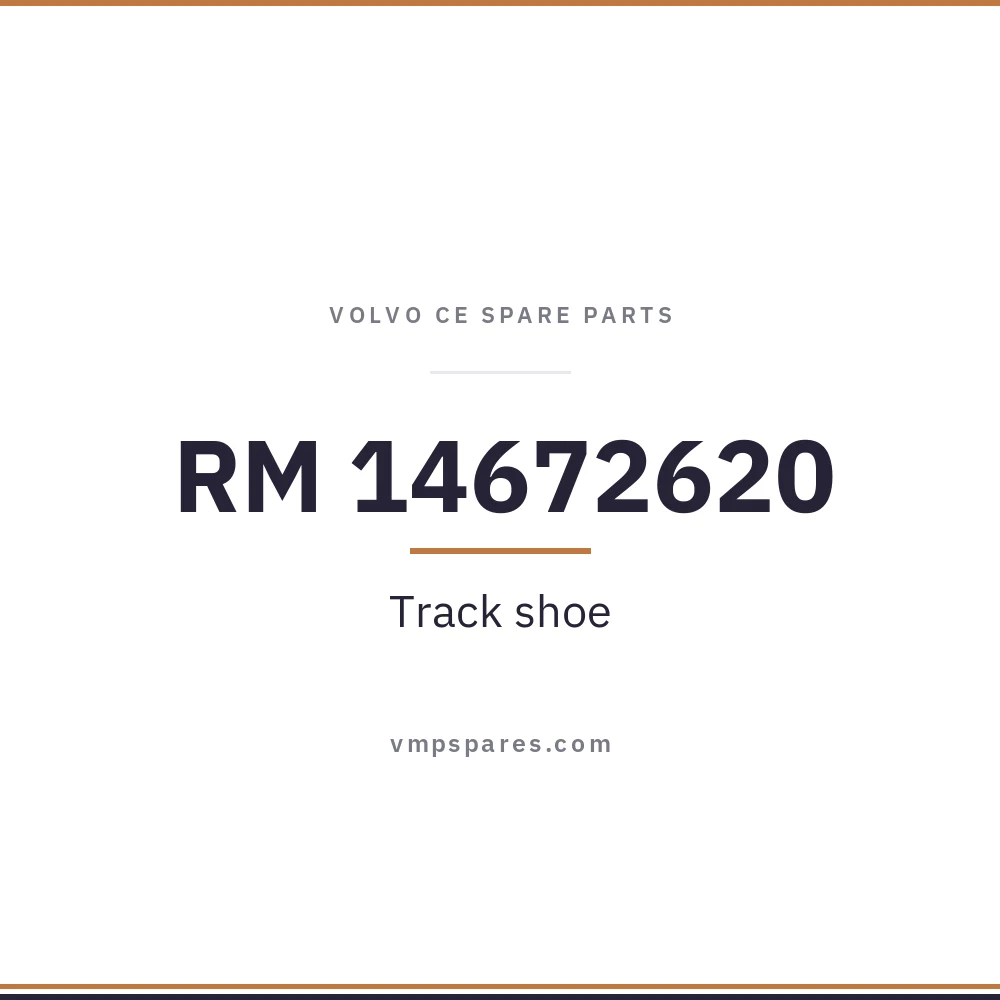 RM 14672620 – Track shoe