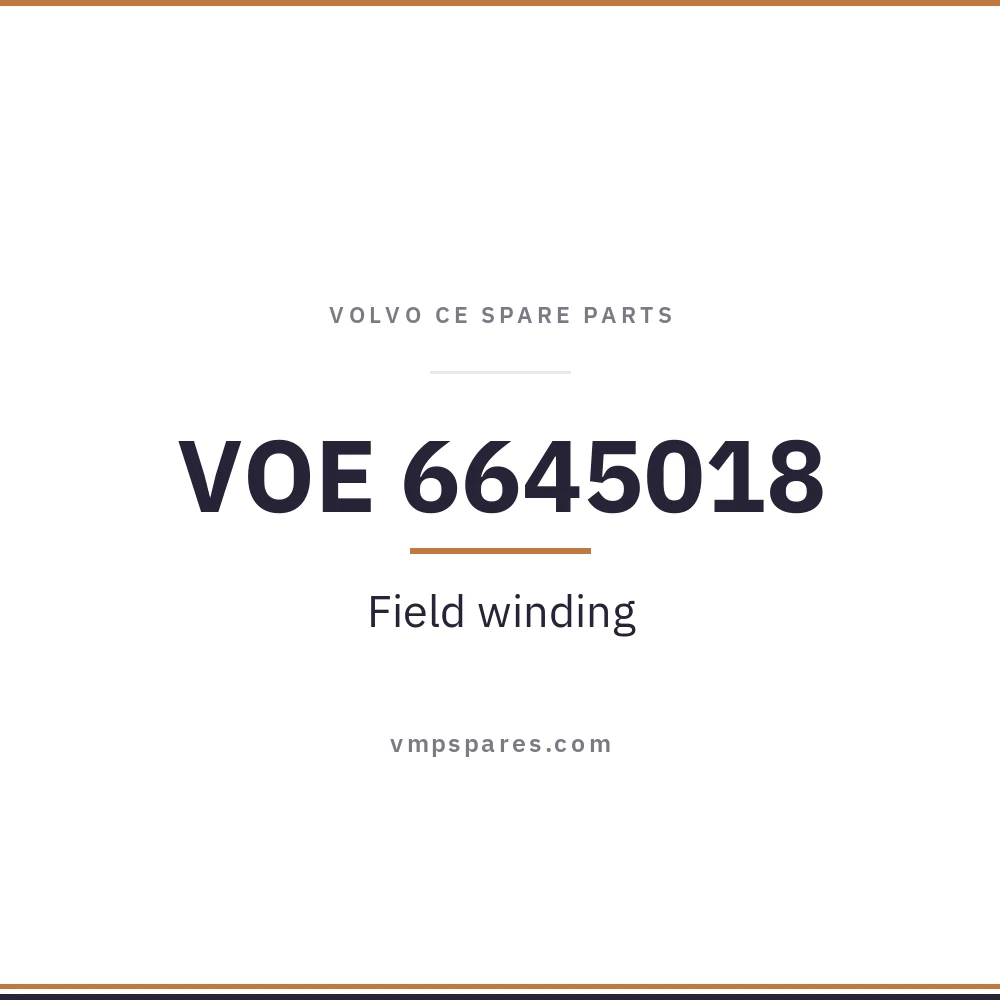 VOE 6645018 – Field winding