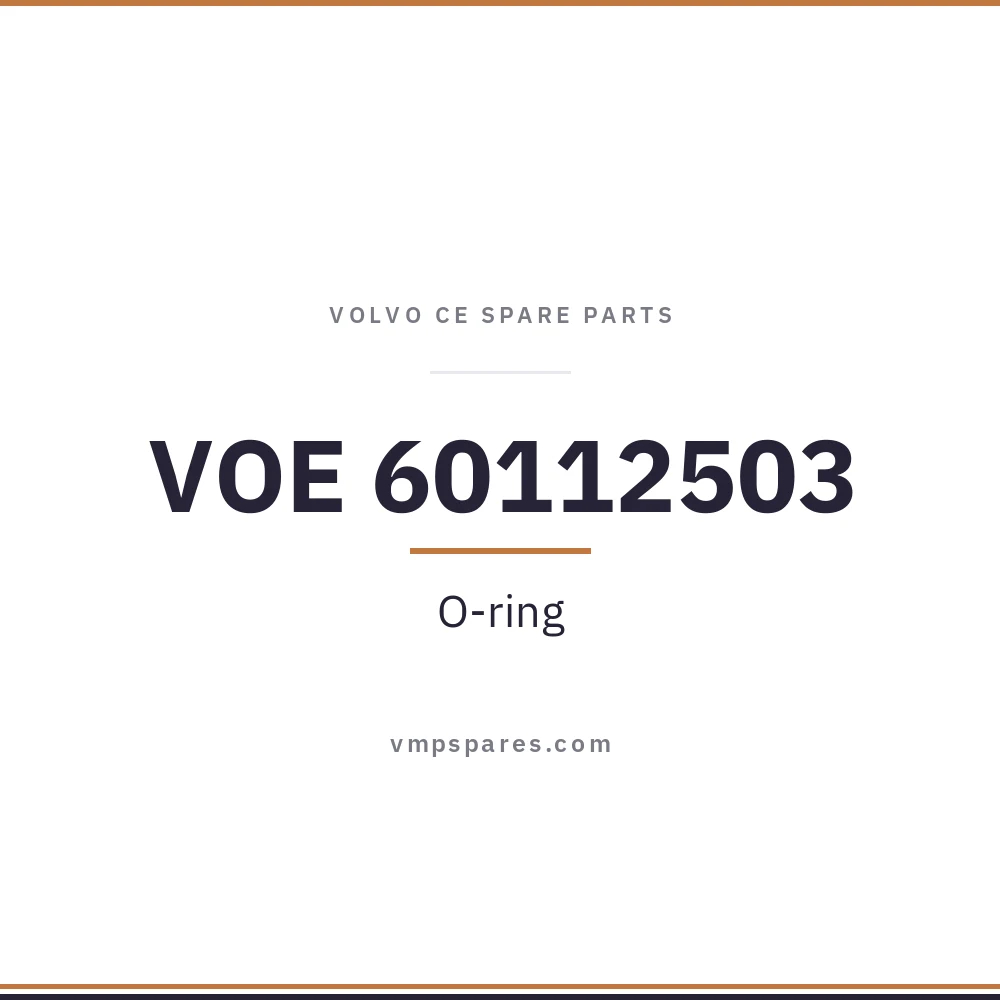 VOE 60112503 – O-ring
