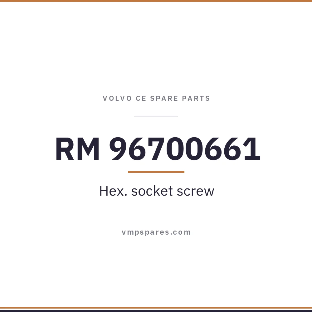 RM 96700661 – Hex. socket screw