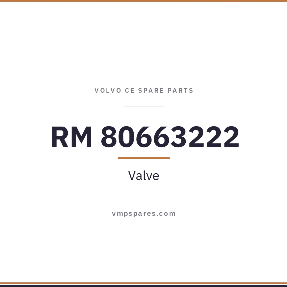 RM 80663222 – Valve