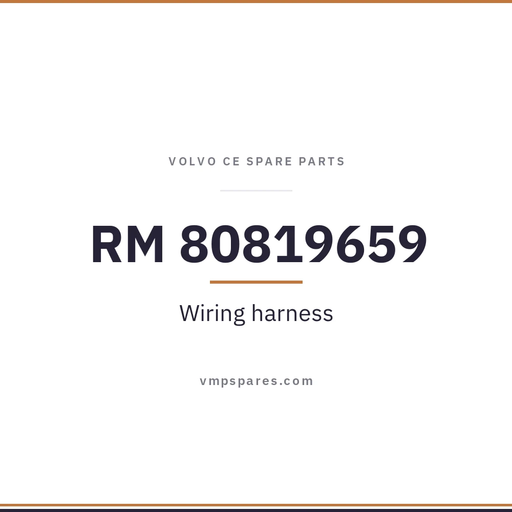 RM 80819659 – Wiring harness