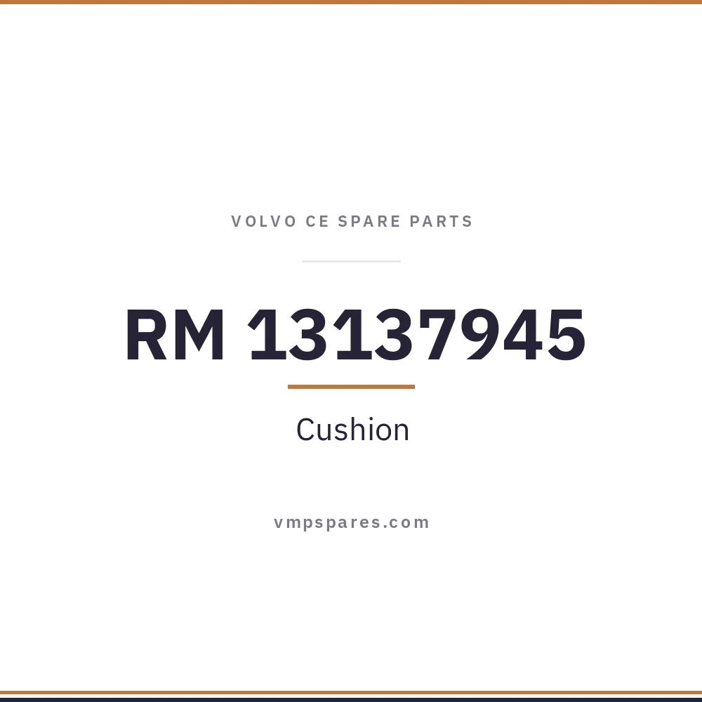 RM 13137945 – Cushion
