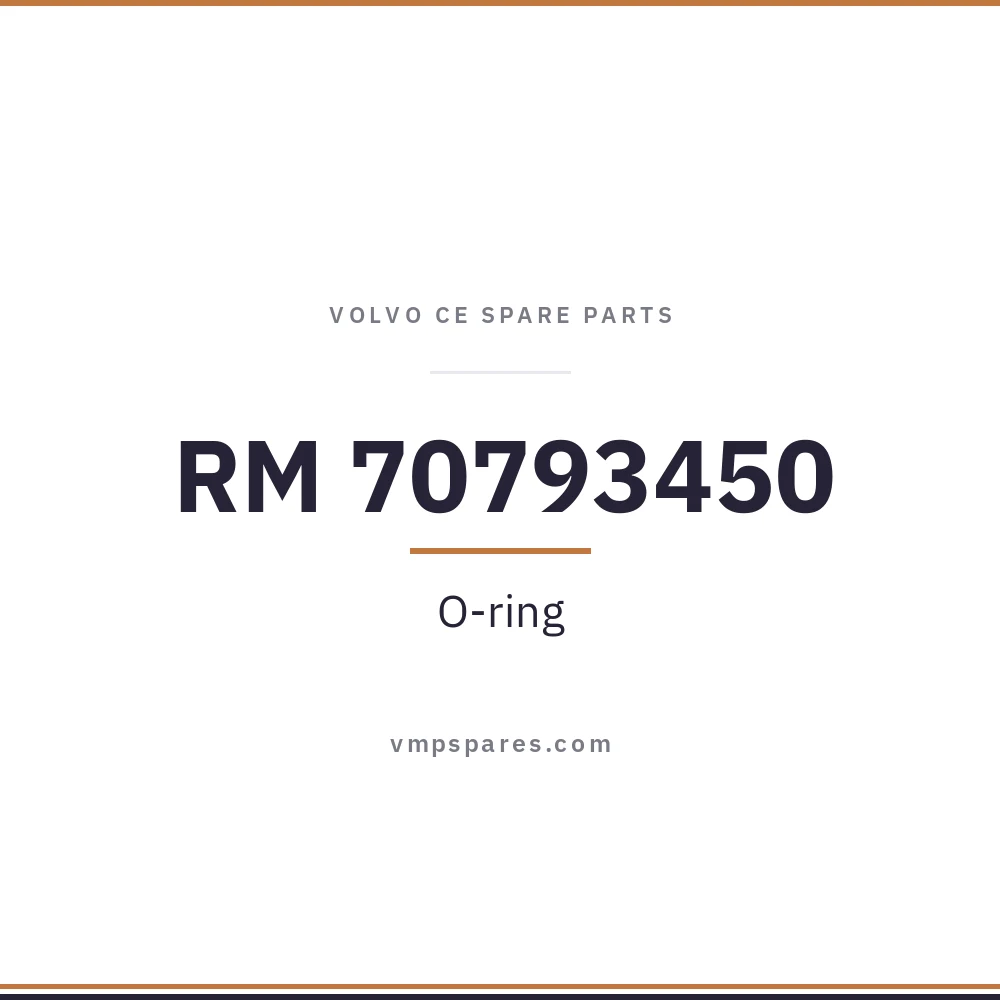 RM 70793450 – O-ring