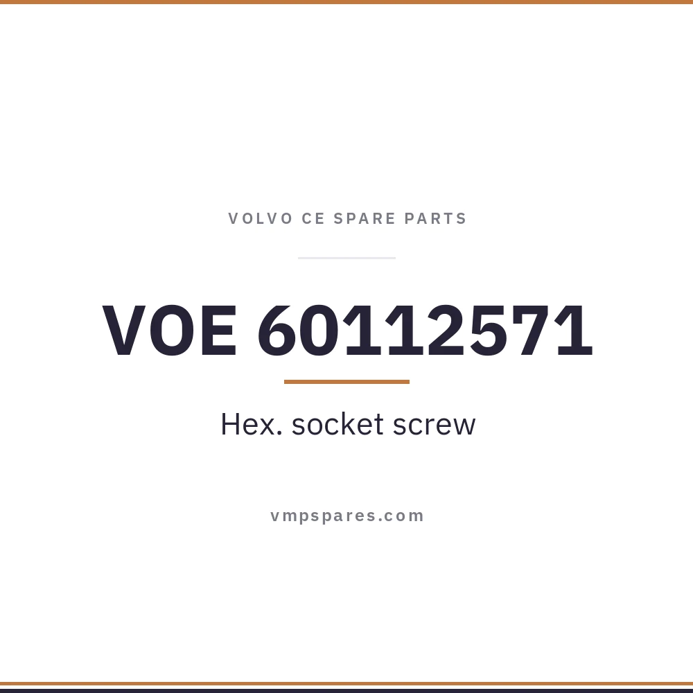 VOE 60112571 – Hex. socket screw