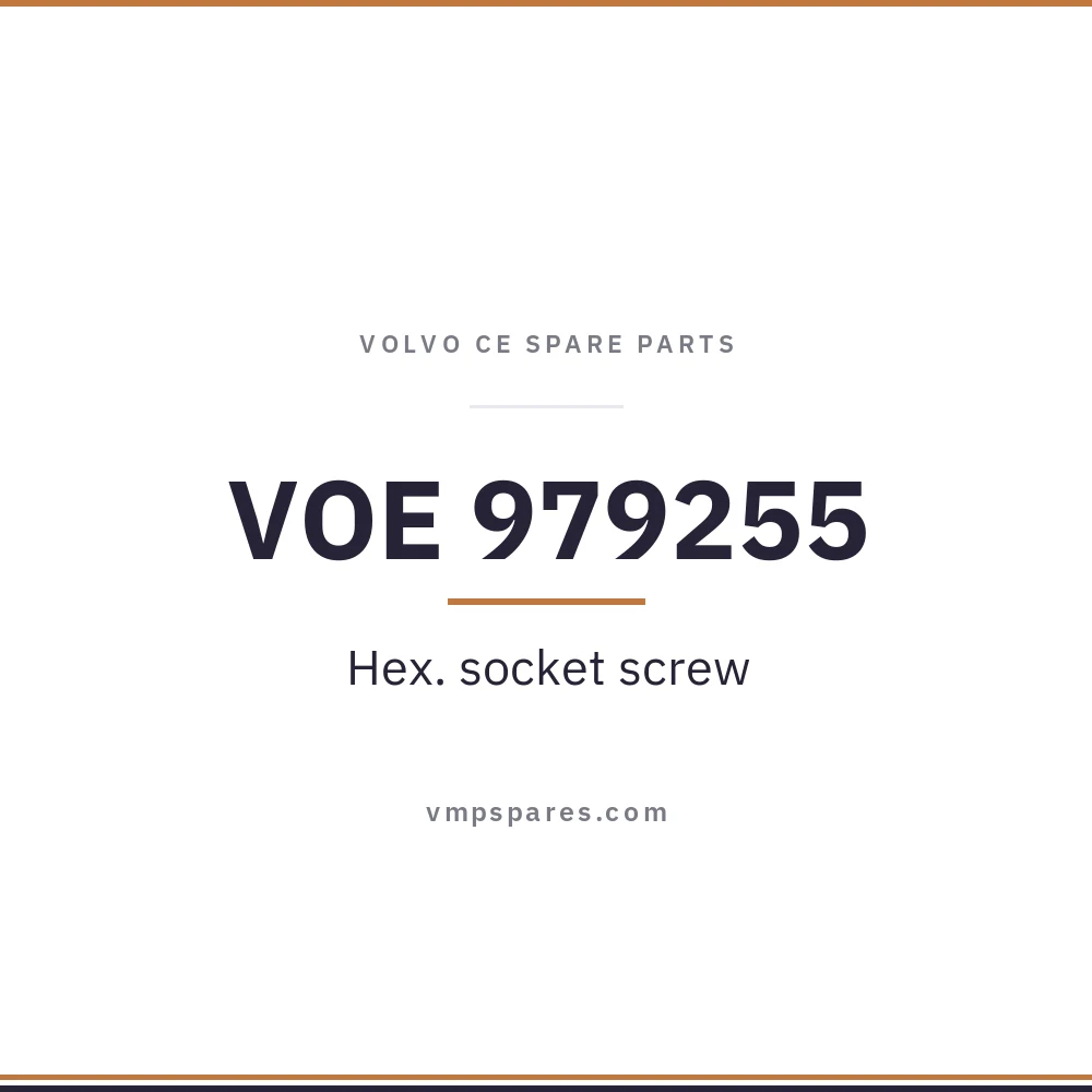 VOE 979255 – Hex. socket screw