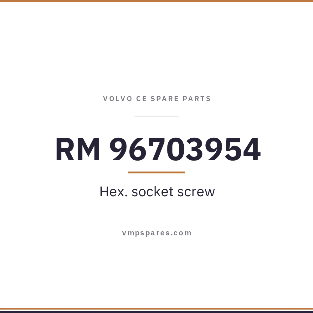 RM 96703954 – Hex. socket screw