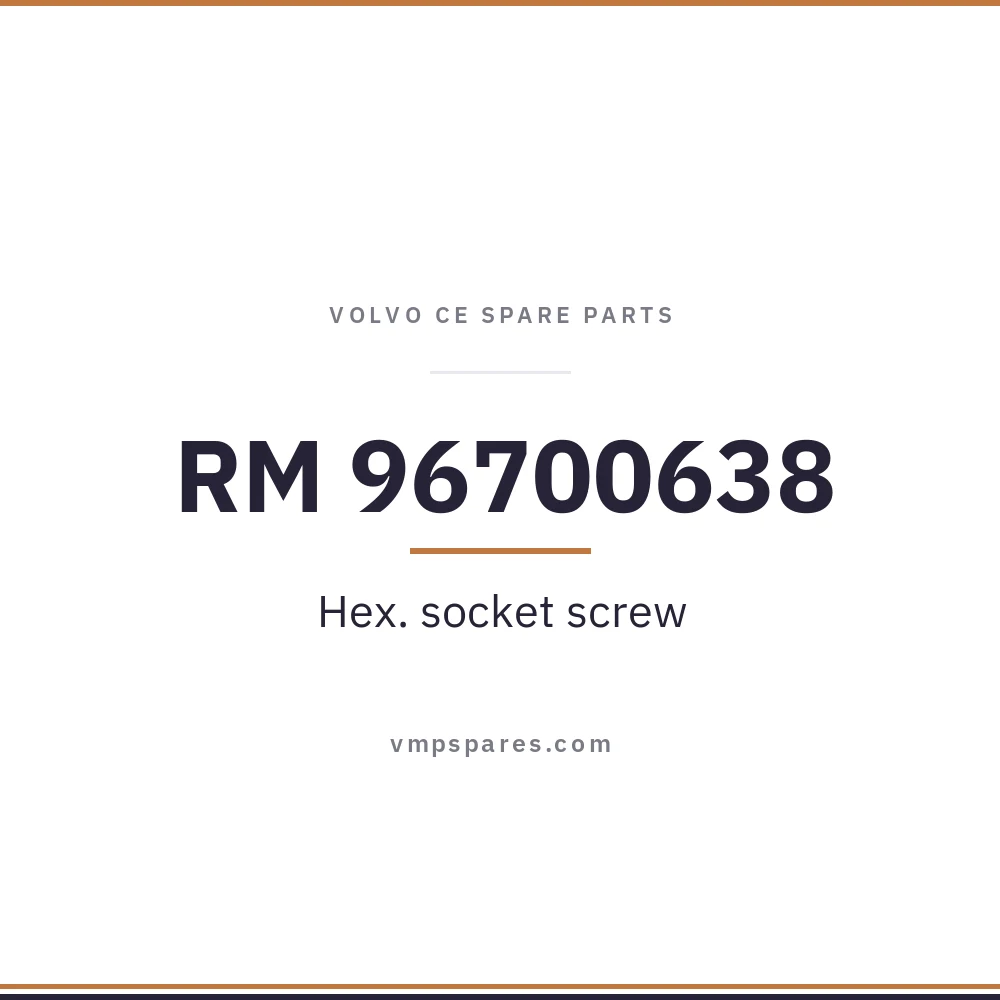 RM 96700638 – Hex. socket screw