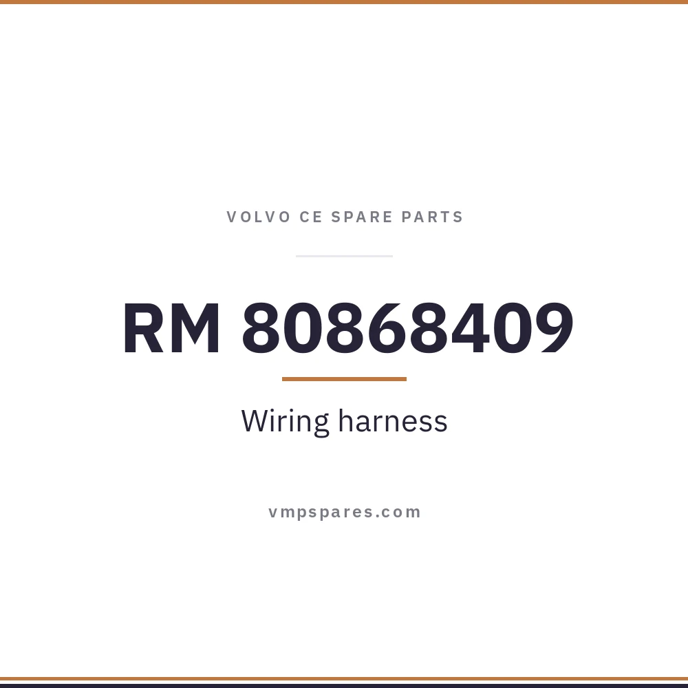 RM 80868409 – Wiring harness