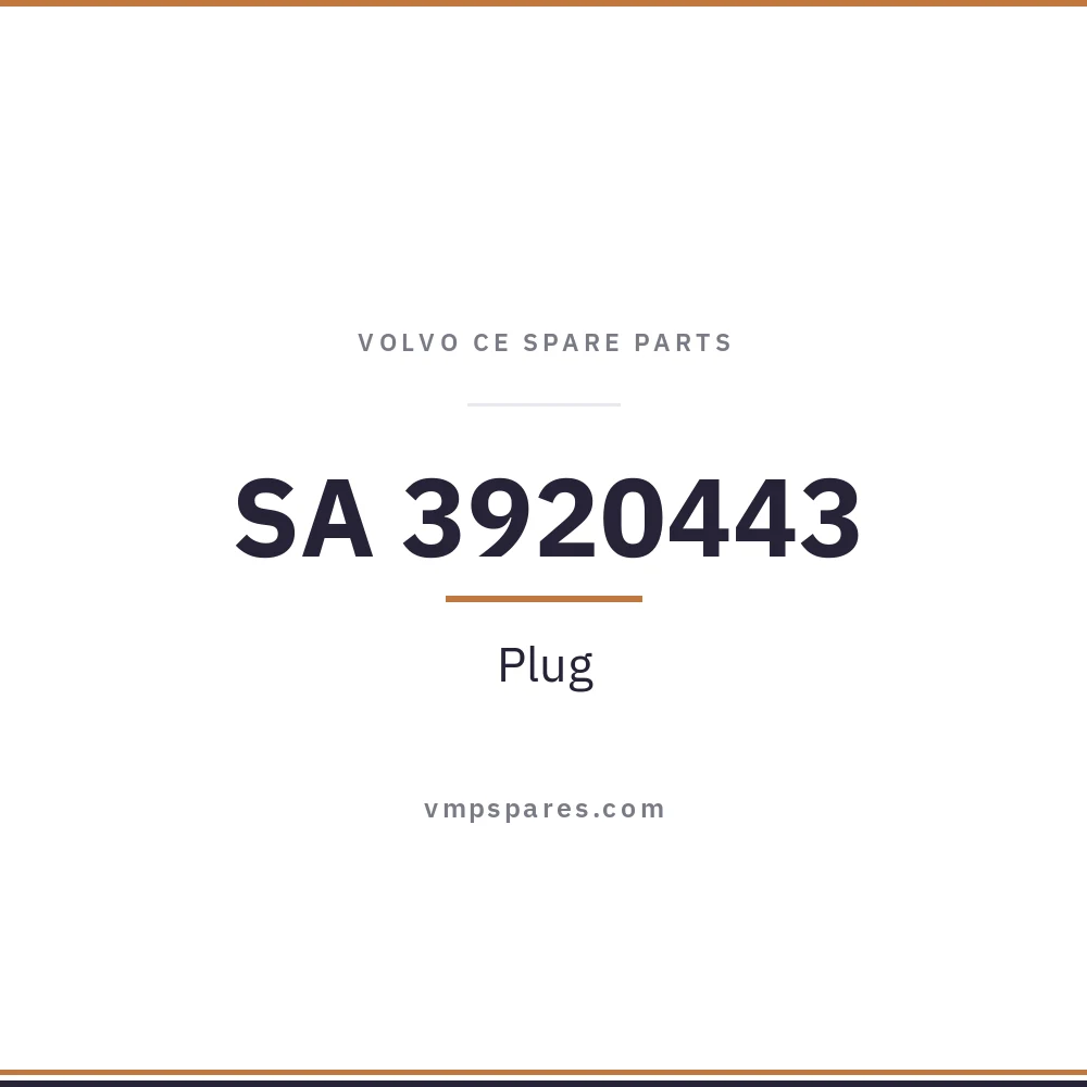 SA 3920443 – Plug