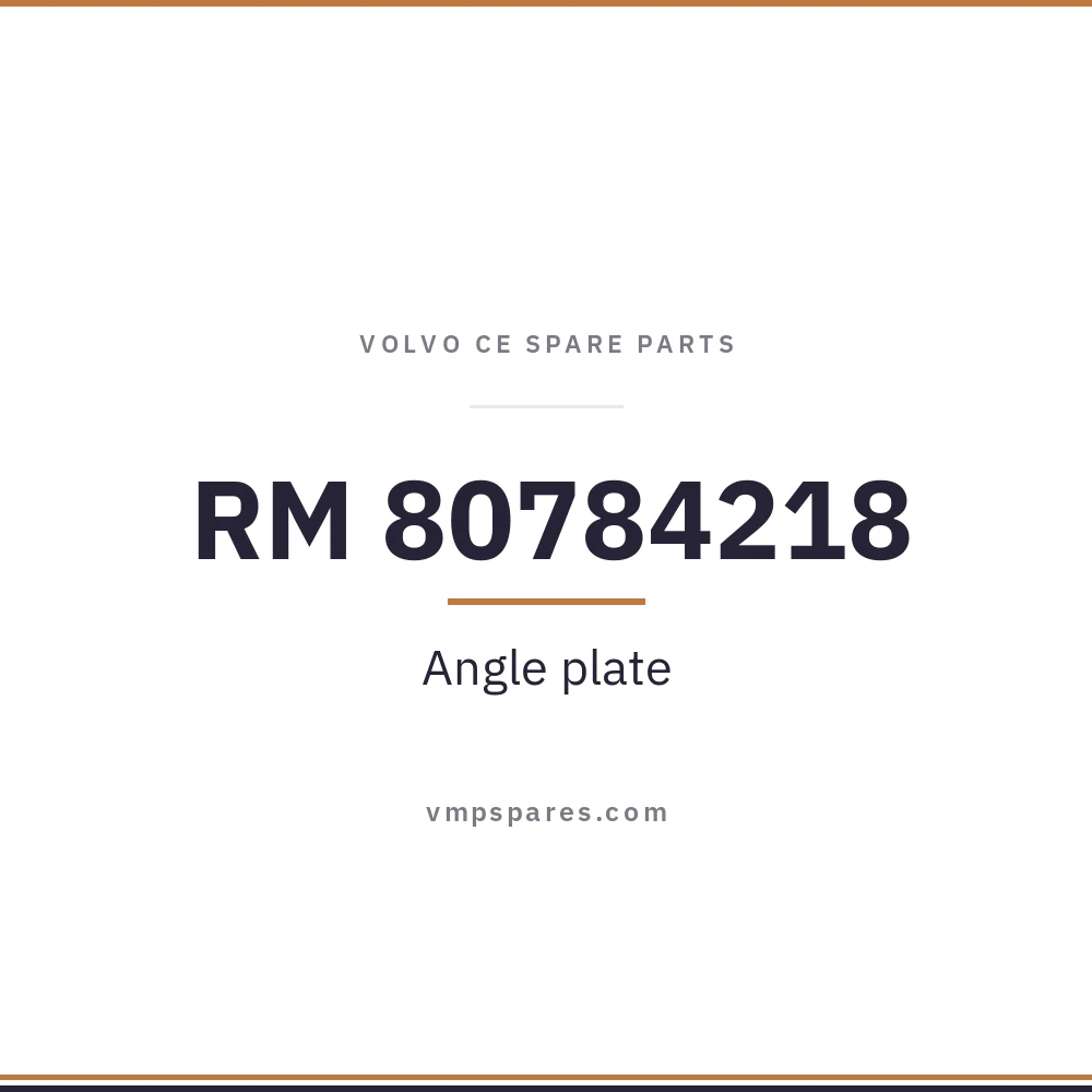 RM 80784218 – Angle plate