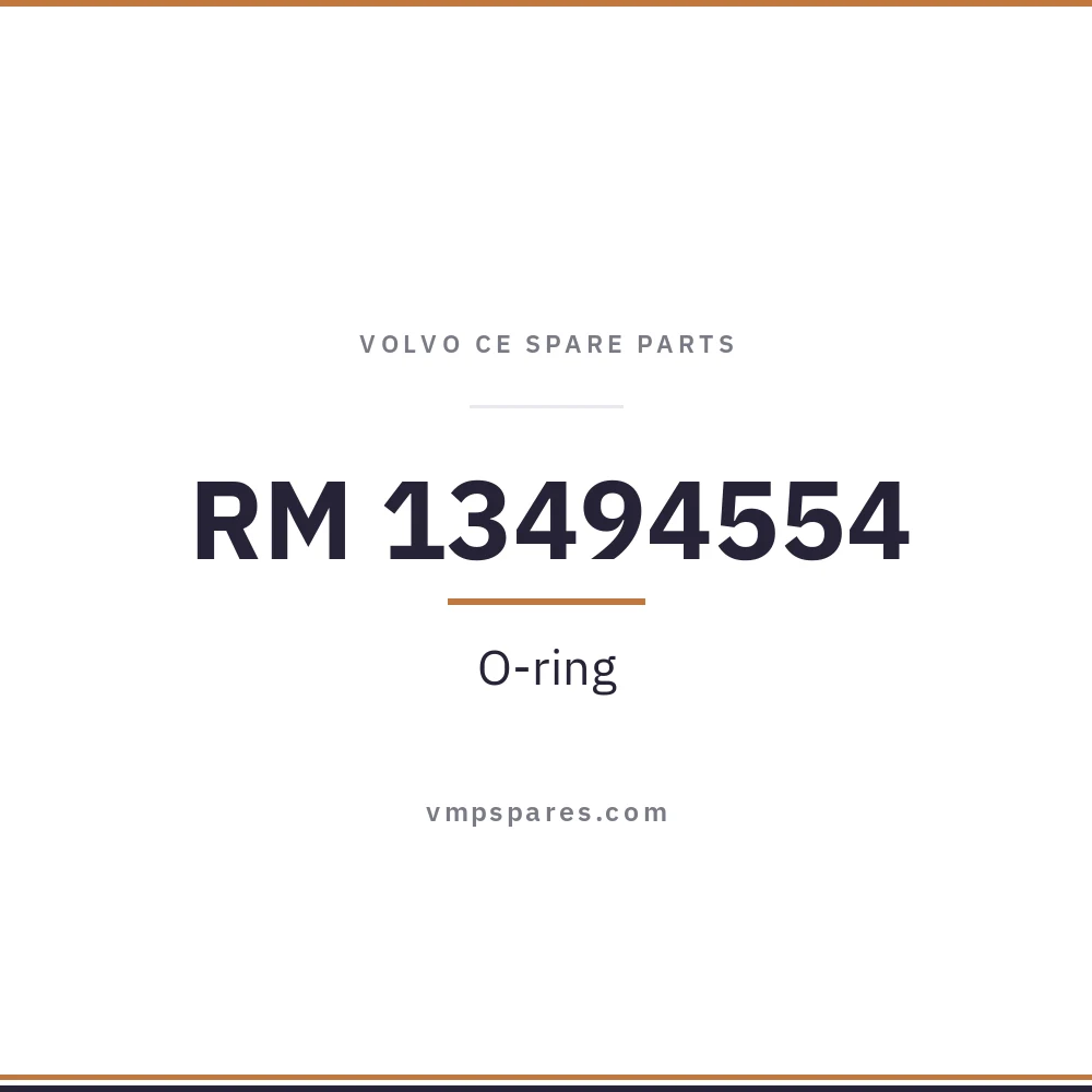 RM 13494554 – O-ring