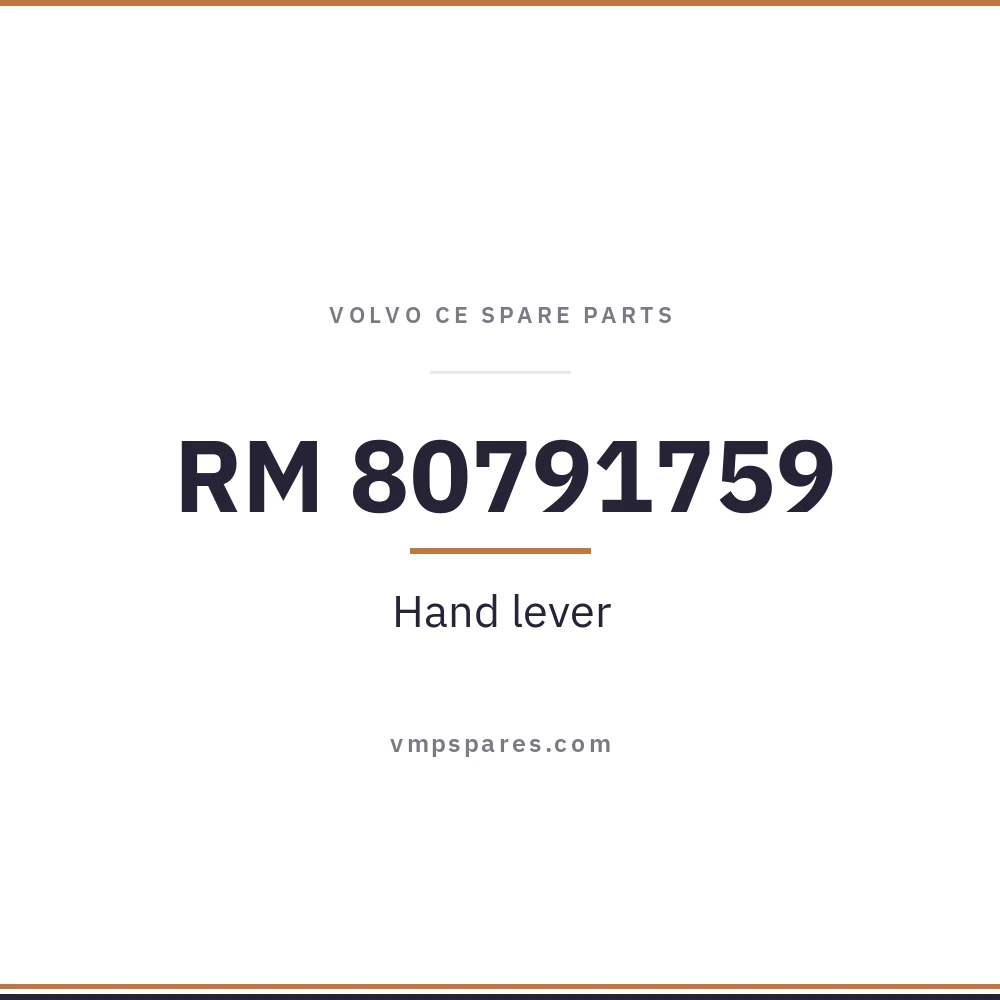 RM 80791759 – Hand lever